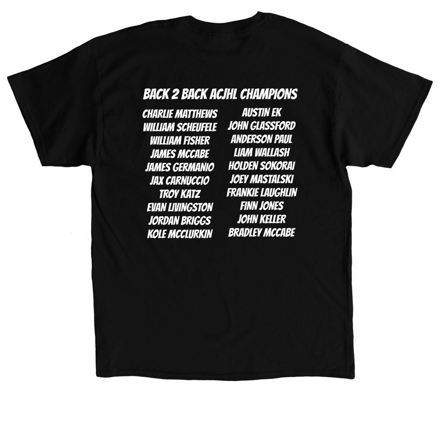 DT HAWKS, a Black Classic Unisex Tee (back-view)