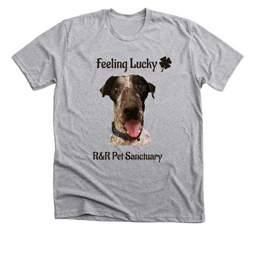 Lucky is feeling lucky!, a Athletic Heather Premium Unisex Tee