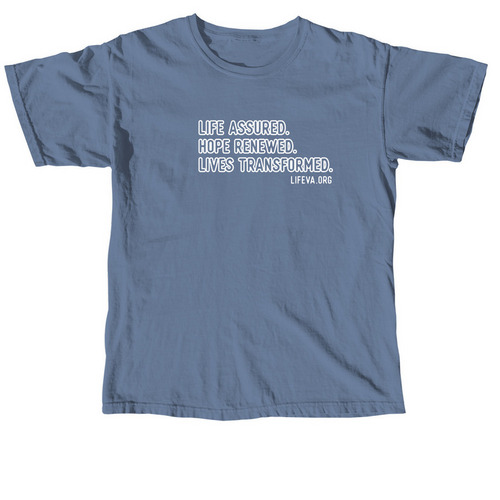 Vision Statement T-Shirt, a Blue Jean Comfort Colors Unisex Tee