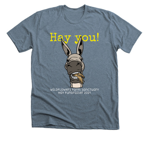 2021 Hay Fundraiser, a Heather Slate Premium Unisex Tee