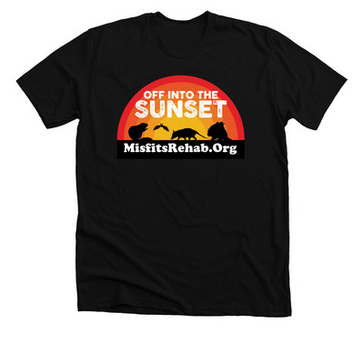 Off Into The Sunset, a Solid Black Blend Premium Unisex Tee
