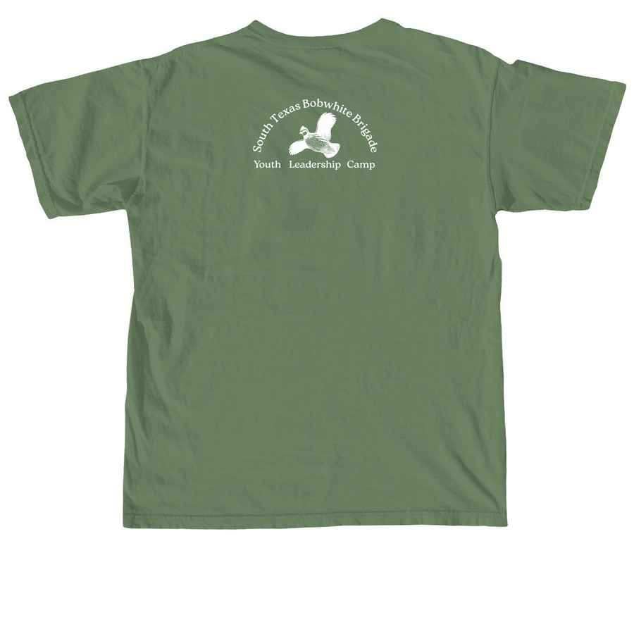 STBB Gambel?s Quail, a Hemp Comfort Colors Unisex Tee (back-view)