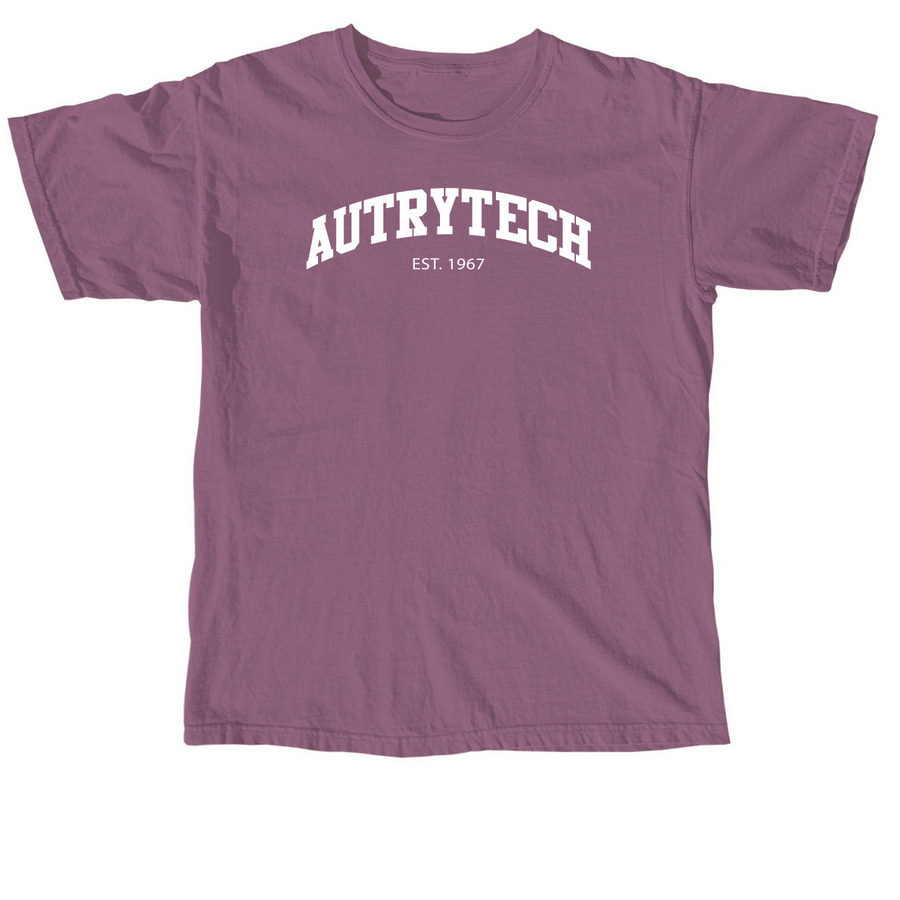 Established 1967 - White, a Berry Comfort Colors Unisex Tee