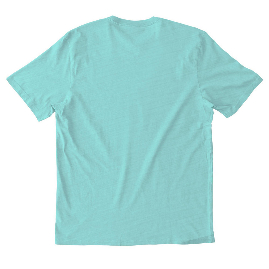 KABC High-5, a Saltwater Blue Allmade Organic Cotton Mineral Dye Tee (back-view)