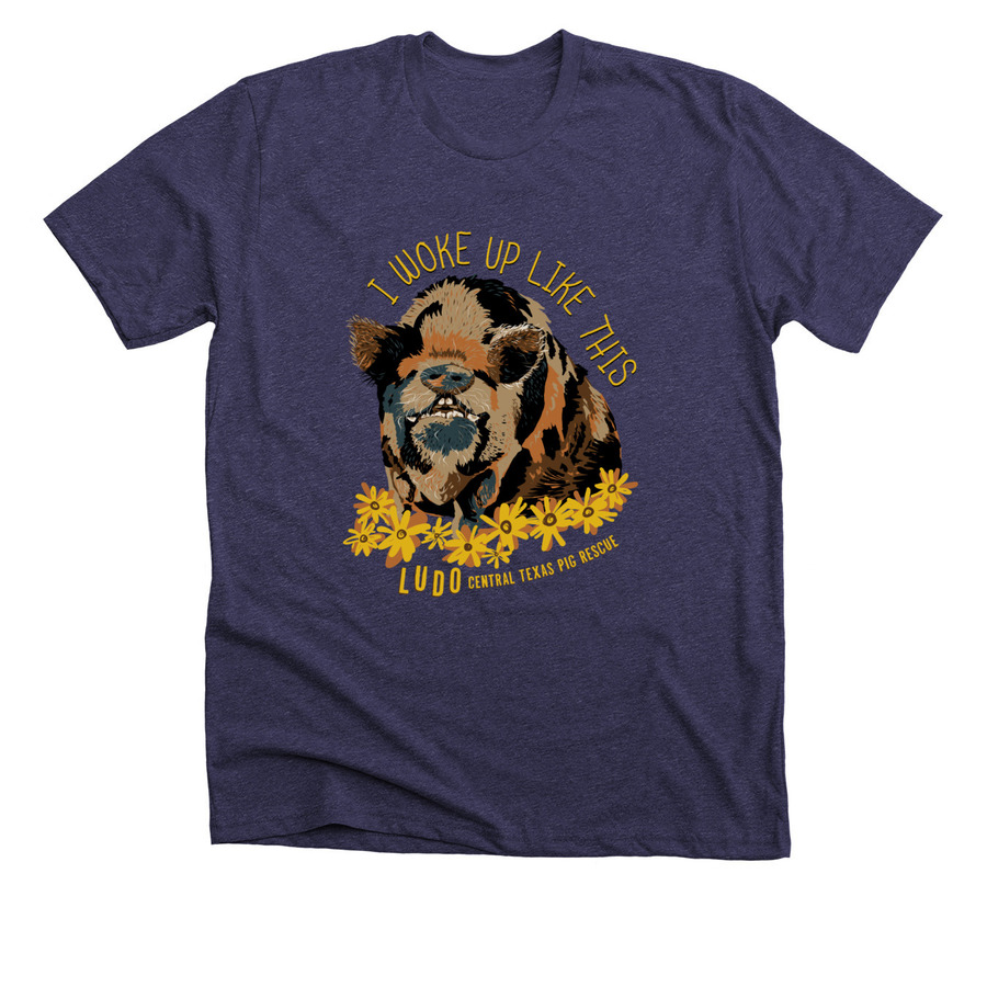 Ludo woke up like this, a Heather Lapis Premium Unisex Tee