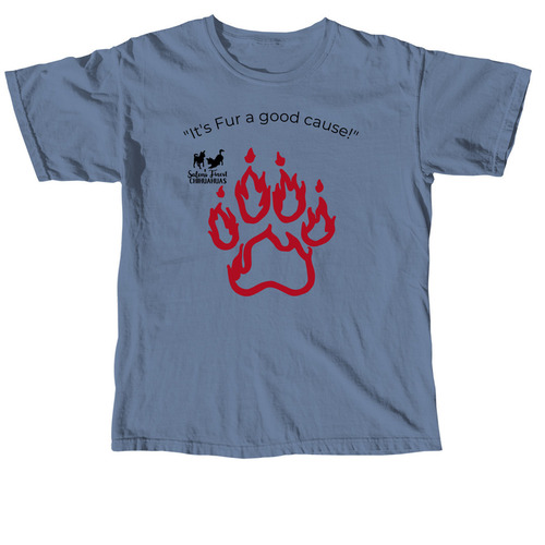 SFC SWAG for a cause, a Blue Jean Comfort Colors Unisex Tee