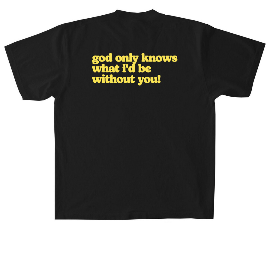 pet sounds tee, a Black Heavyweight Garment Dye Tee (back-view)