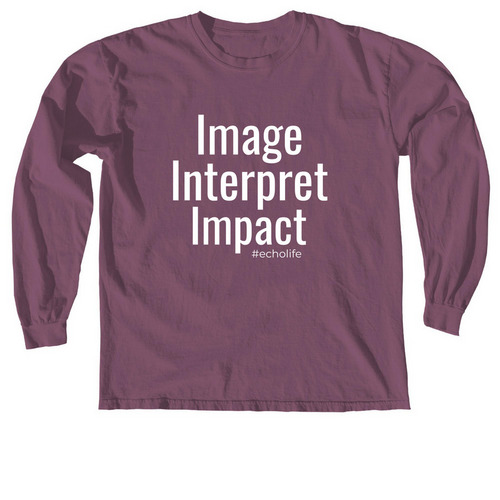Image.interpret.impact, a Berry Comfort Colors Long Sleeve Tee