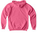 Youth Hoodie, a Pink Lemonade Softstyle Youth Pullover Hoodie (back-view)