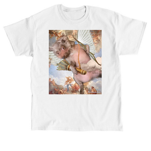 Stupid Cupig, Stop Picking On Me, a White Classic Unisex Tee