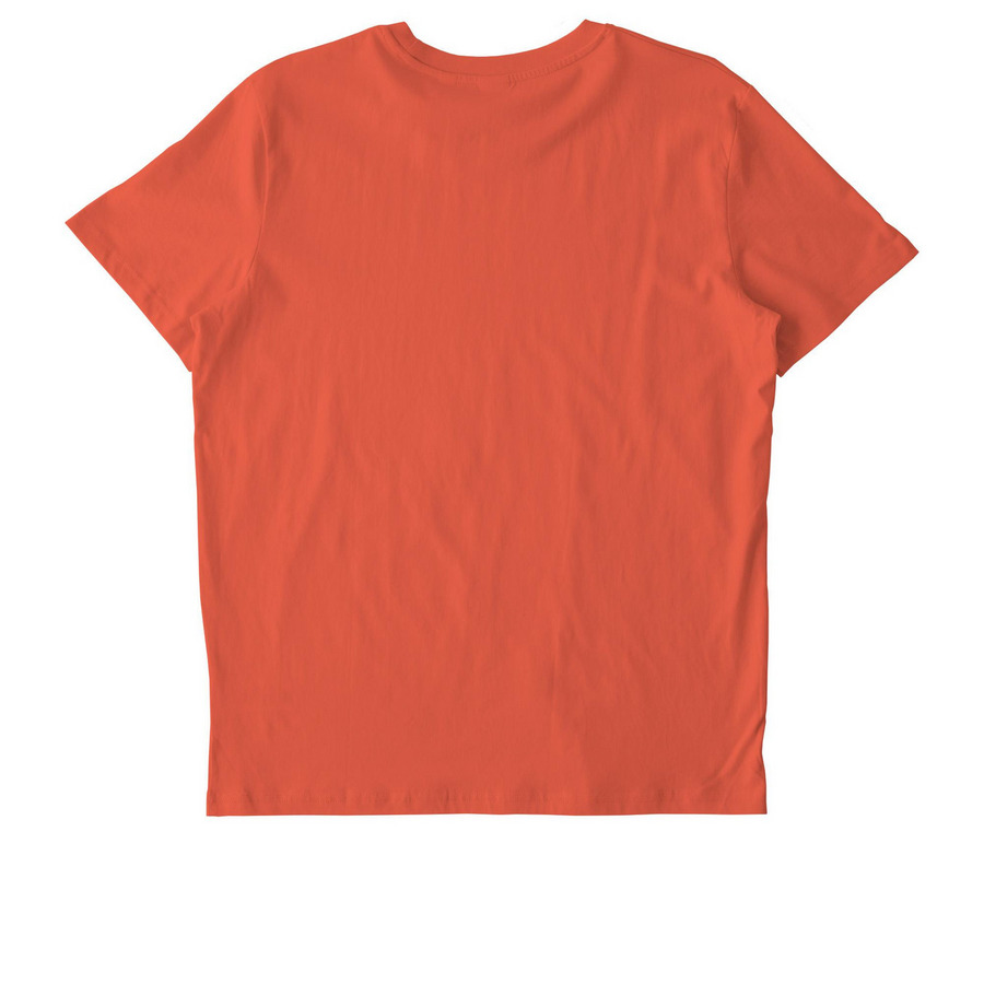 stupid questions, a Fiesta Stanley/Stella Unisex Crafter Tee (back-view)