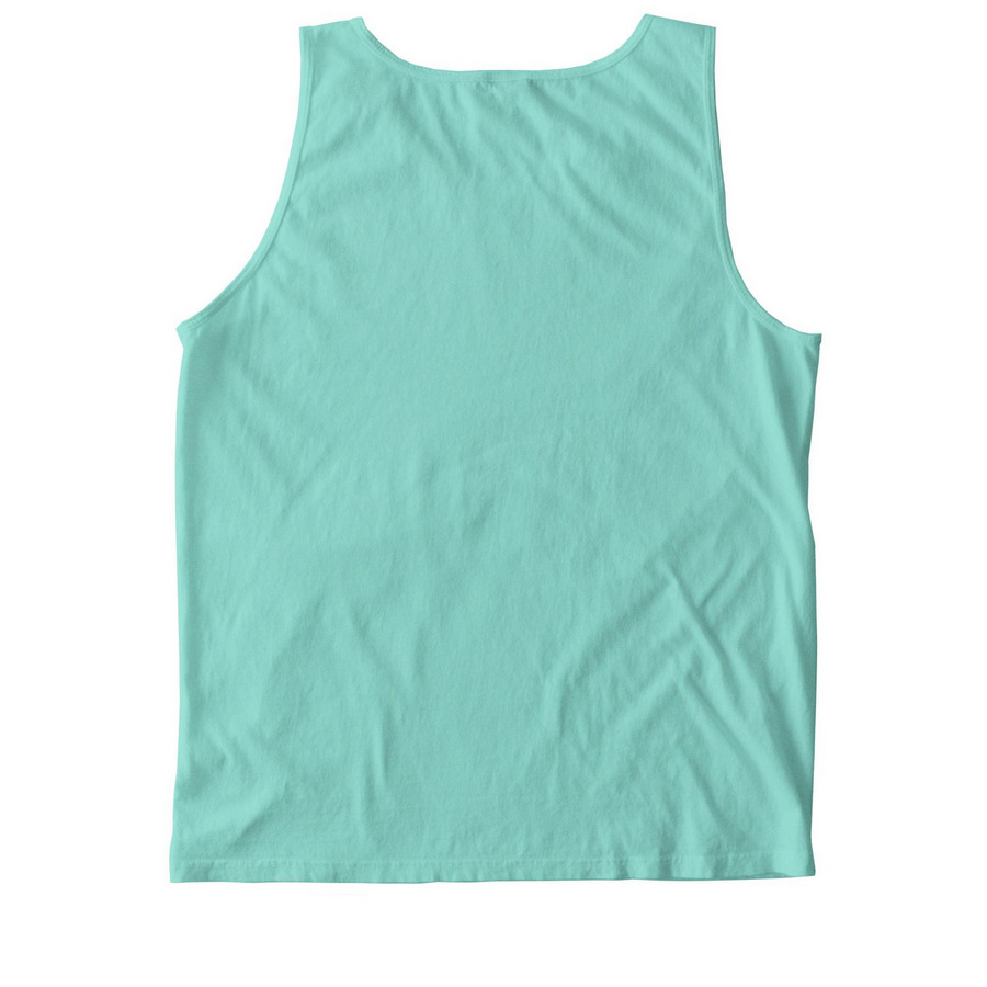 "Barn Hair, Don't Care!" Classic Collection, a Chalky Mint Comfort Colors Tank Top (back-view)