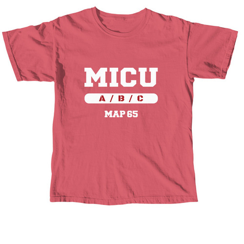 MAP 65 Red, a Crimson Comfort Colors Unisex Tee