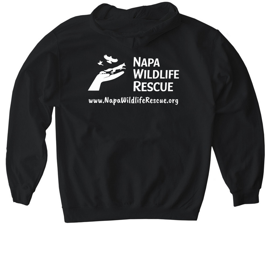 Wild Sweatshirts!, a Black Gildan Softstyle Pullover Hoodie (back-view)