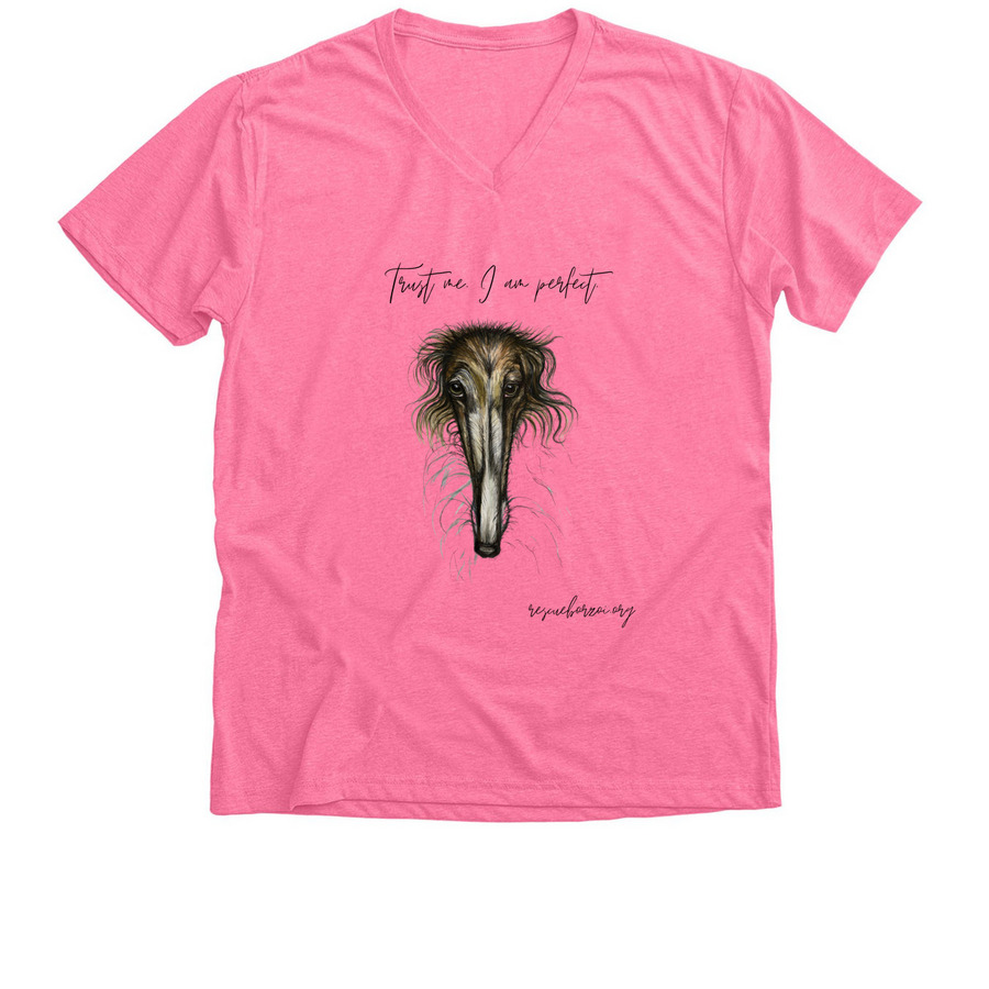 "Borzoi Life" Spring Collection, a Neon Pink Premium V-Neck Tee