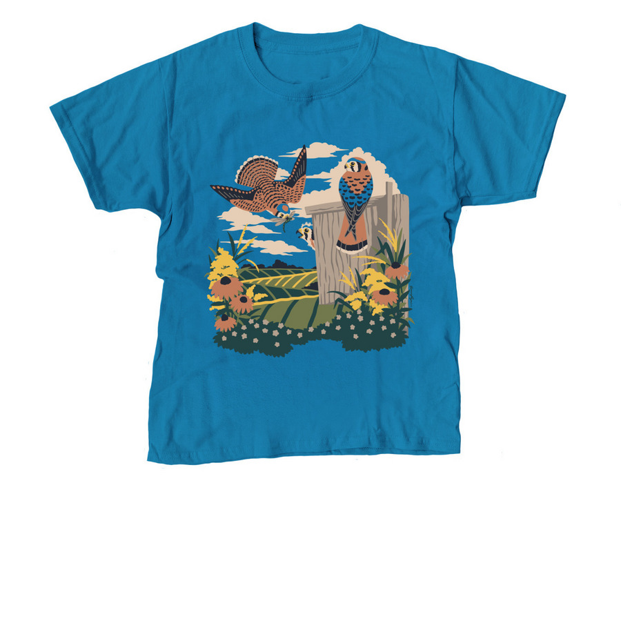 The Upper Midwest Kestrel Project, a Sapphire Youth Unisex Tee