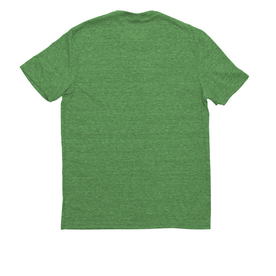 East Lansing vs Everybody, a Enviro Green Allmade Eco Triblend Unisex Tee (back-view)