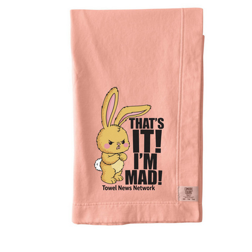 Towel News Blanket, a Peachy Comfort Colors Blanket