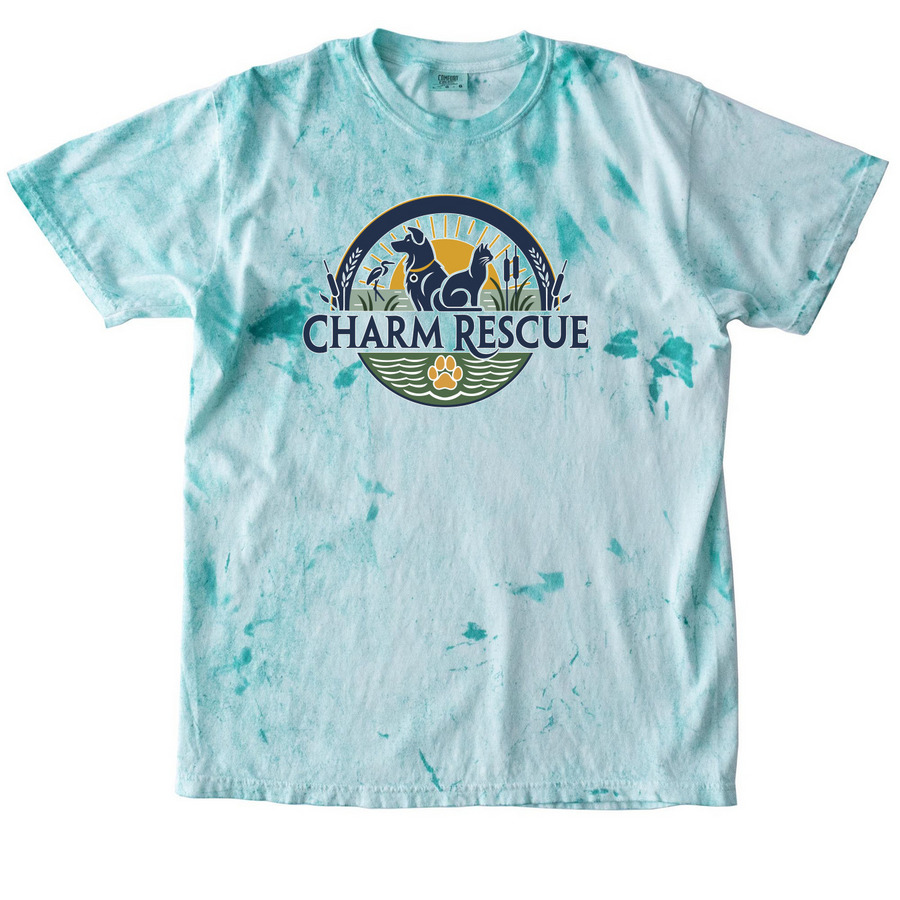 CHARM, a Sea Glass Comfort Colors Colorblast Tee