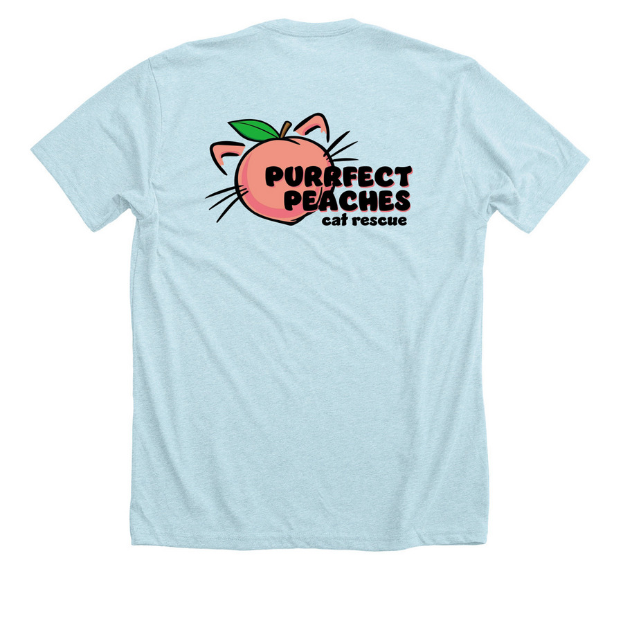 Color Logo - Front and Back, a Heather Ice Blue Premium Unisex Tee (back-view)