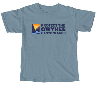 Protect the Owyhee t-shirt, a Ice Blue Comfort Colors Unisex Tee