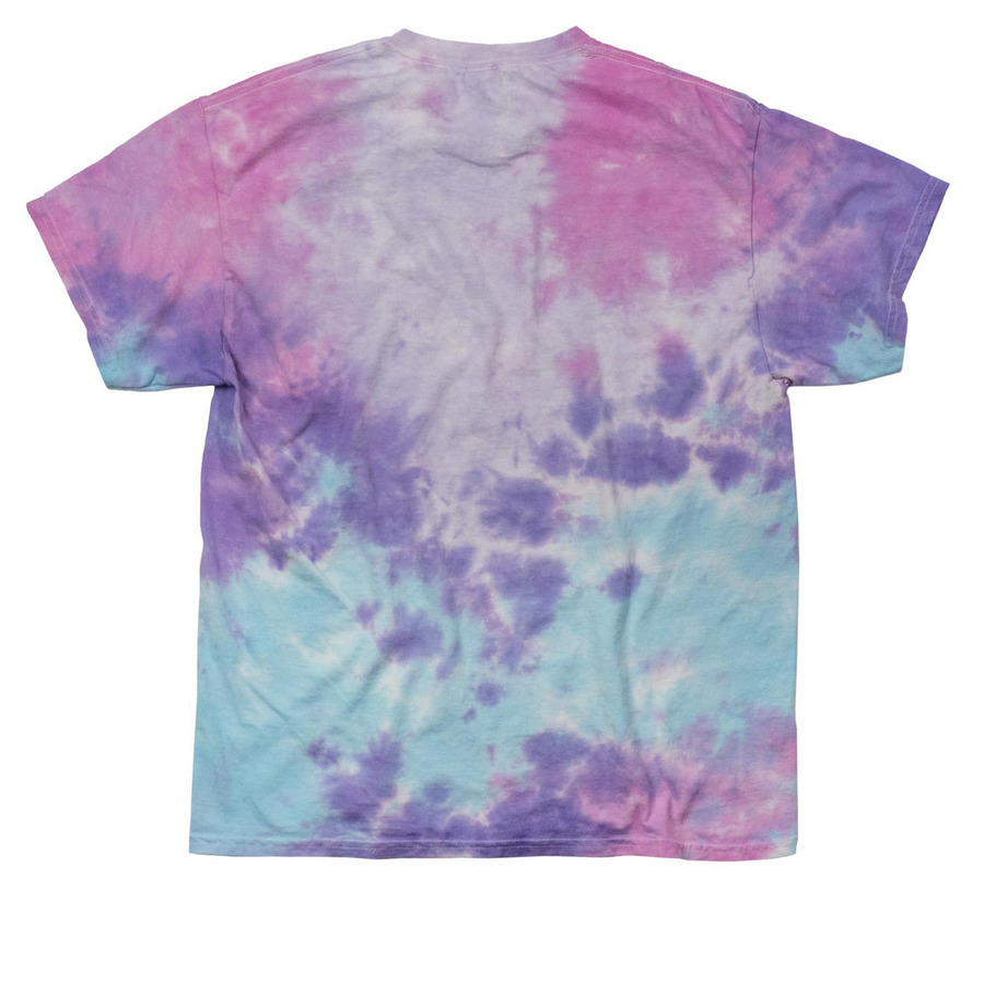 Appalachian Snail, a Cotton Candy Classic Tie Dye Tee (back-view)