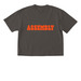 Band Tee, a Pepper Comfort Colors Boxy Tee