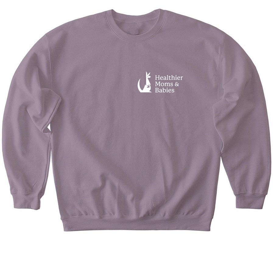 Crewneck Sweatshirt, a Paragon Softstyle Crewneck Sweatshirt