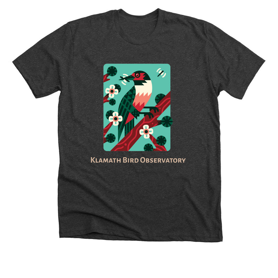 2024 - 2025 Conservation Science Stamp, a Dark Grey Heather Premium Unisex Tee