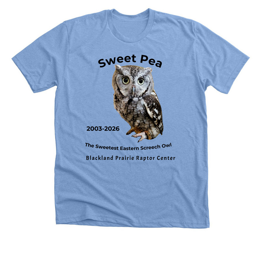 In Memory of Sweet Pea, a Heather Carolina Blue Premium Unisex Tee