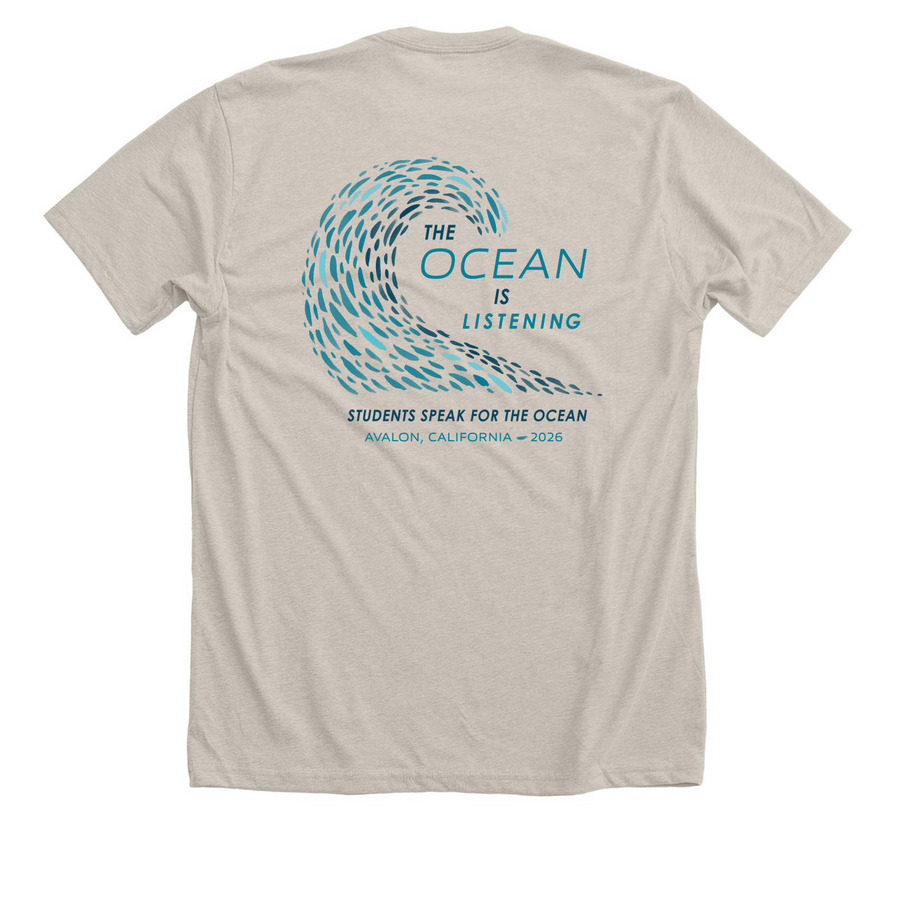 Take the Mic - Avalon 2026, a Heather Dust Premium Unisex Tee (back-view)