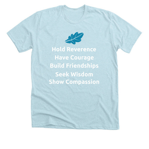 Adult & Youth Spirit Wear (Virtues), a Heather Ice Blue Premium Unisex Tee