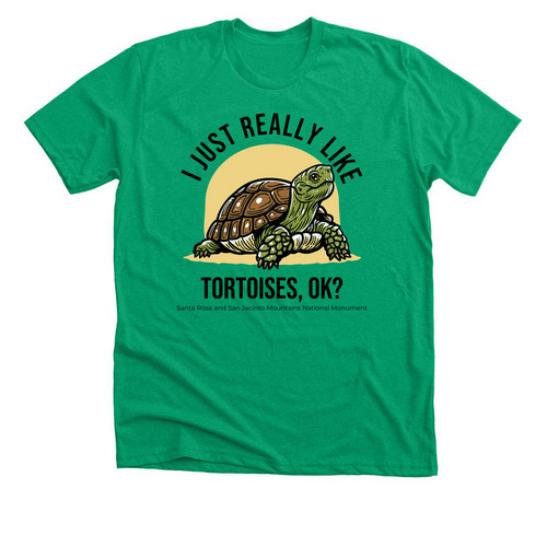 I JUST REALLY LIKE TORTOISES, OK?, a Heather Kelly Premium Unisex Tee