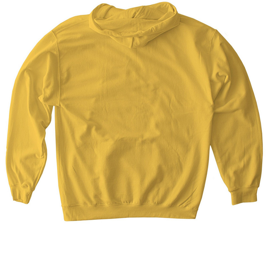 Lake Ontario Hoodie & Crewneck, a Daisy Softstyle Pullover Hoodie (back-view)