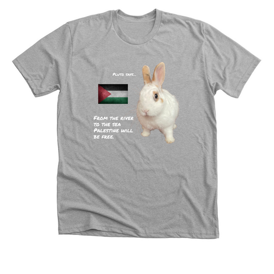 Support Diana Moneer and her family, a Athletic Heather Premium Unisex Tee