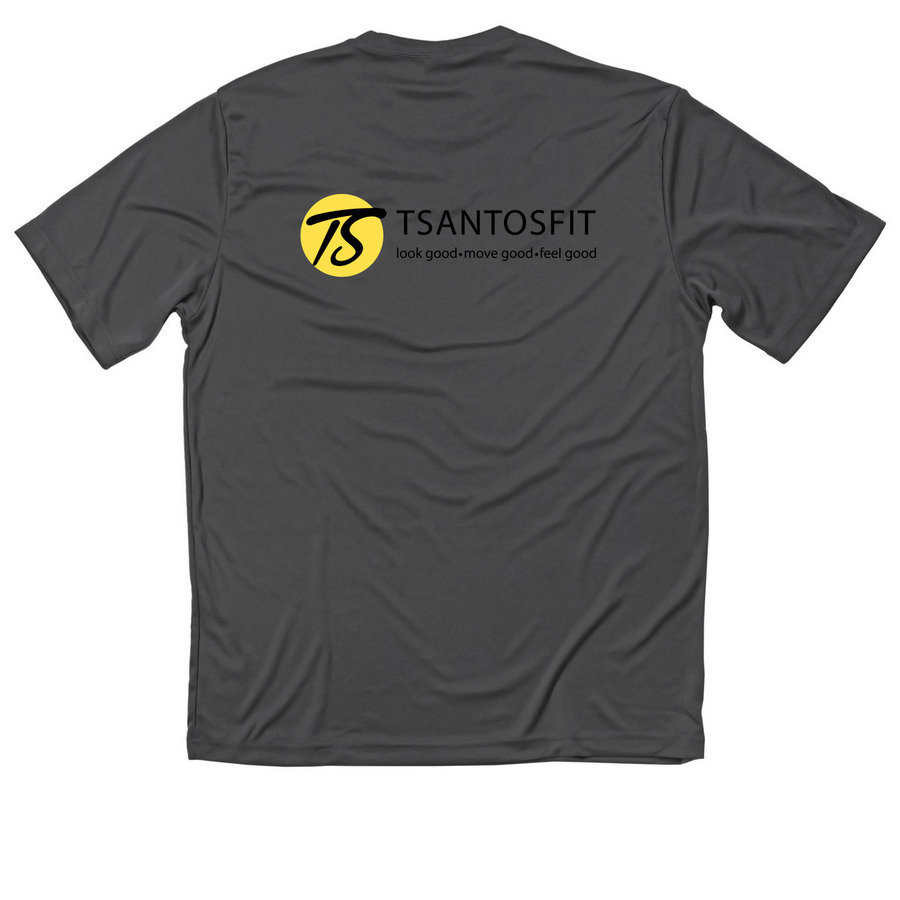 Classic small logo, a Iron Grey Classic Performance Tee (back-view)