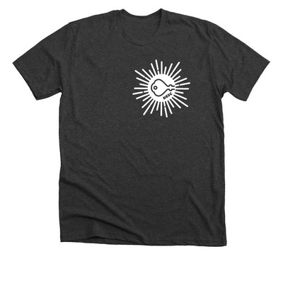 DESC Pride 2023 - Tee, Sweater, or Hoodie, a Dark Grey Heather Premium Unisex Tee
