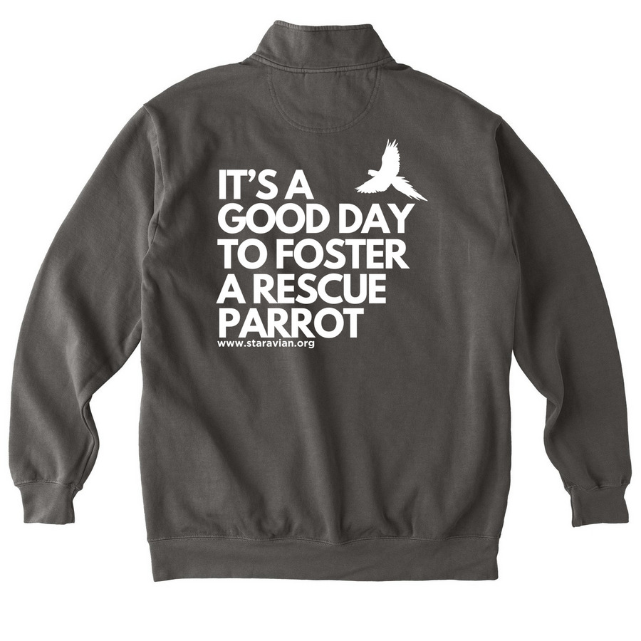 Foster Today - Zip, a Pepper Comfort Colors Quarter Zip Pullover (back-view)