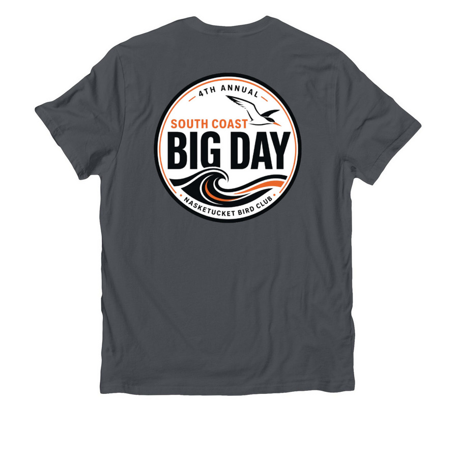 NBC Big Day Apparel, a Terrain Grey Allmade Organic Cotton Unisex Tee (back-view)
