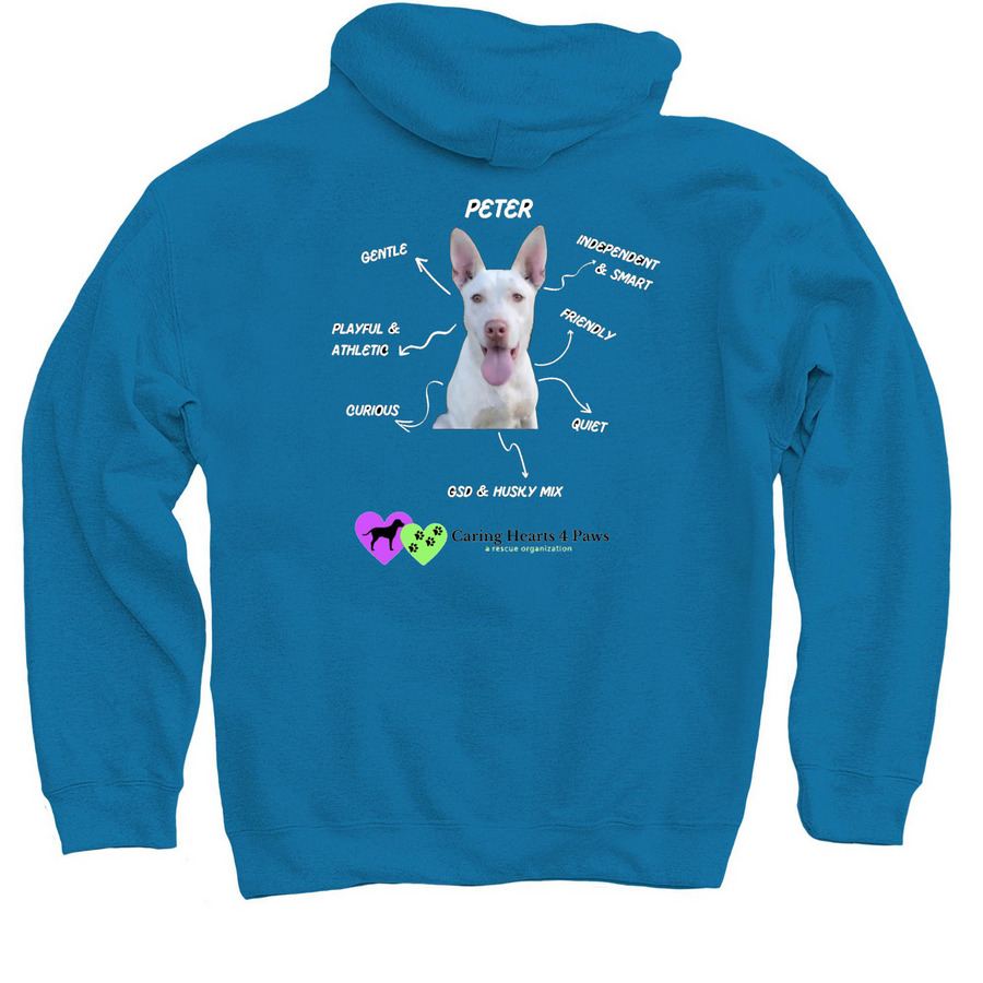 Peter, a Sapphire Pullover Hoodie (back-view)