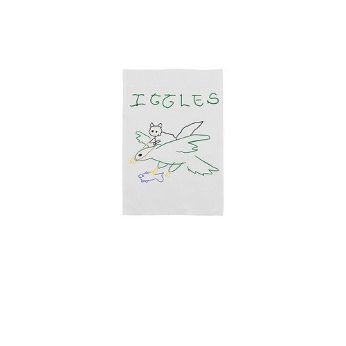 EAGLES, a White 12" x 18" Yard Flag