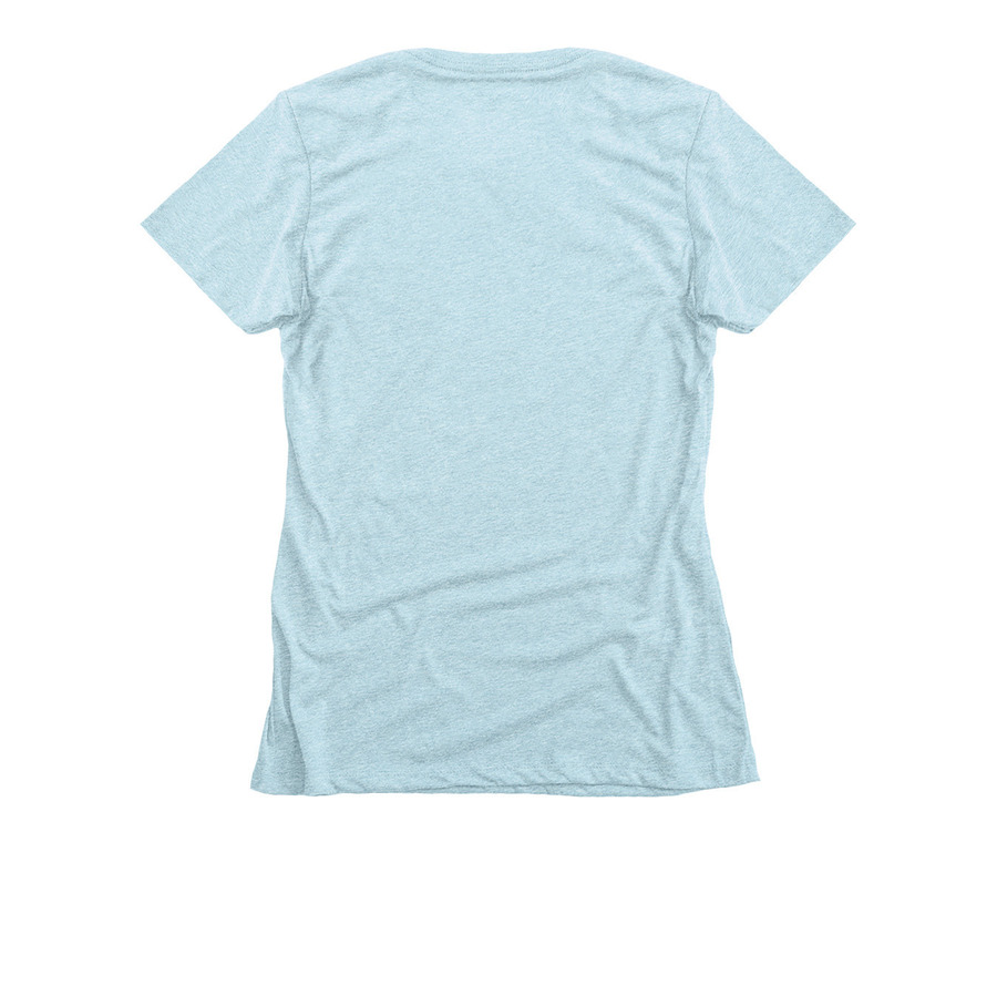 Nasketucket Bird Club Alt Logo Apparel, a Ice Blue Women's Slim Fit Tee (back-view)