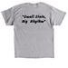 Providence Swings, a Sport Grey Classic Unisex Tee (back-view)