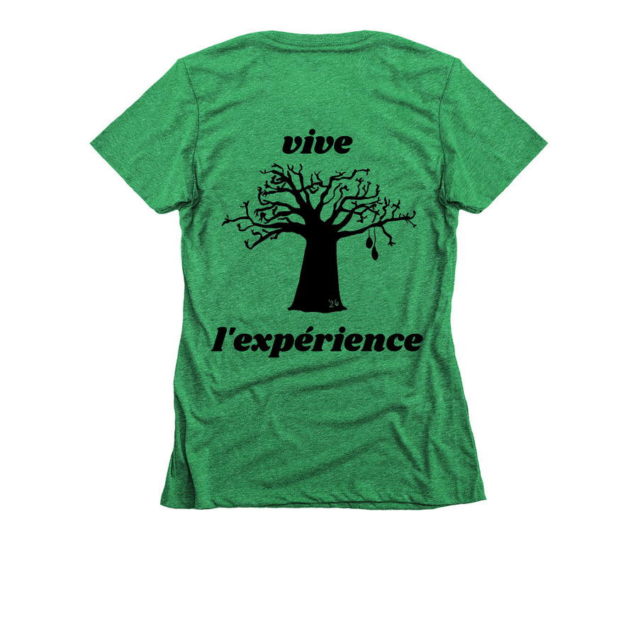 Vive Senegal 2026 (bl), a Kelly Green Women's Slim Fit Tee (back-view)