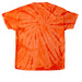 Spicy Today (and every day), a Orange Classic Tie Dye Tee (back-view)