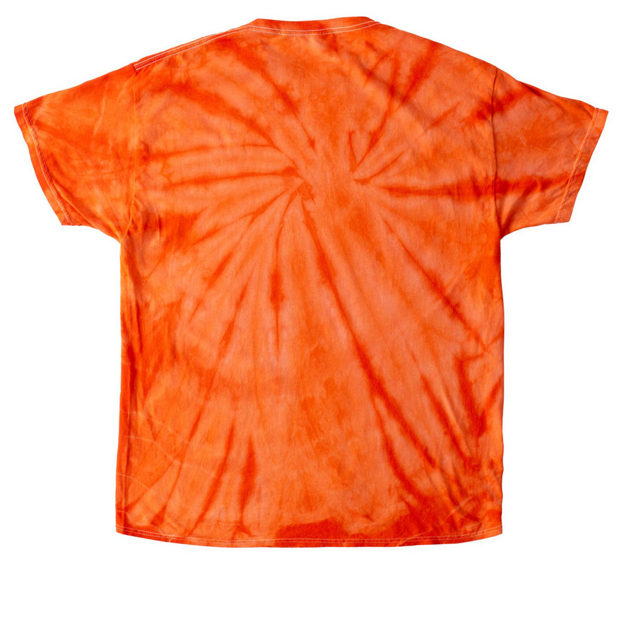 Spicy Today (and every day), a Orange Classic Tie Dye Tee (back-view)