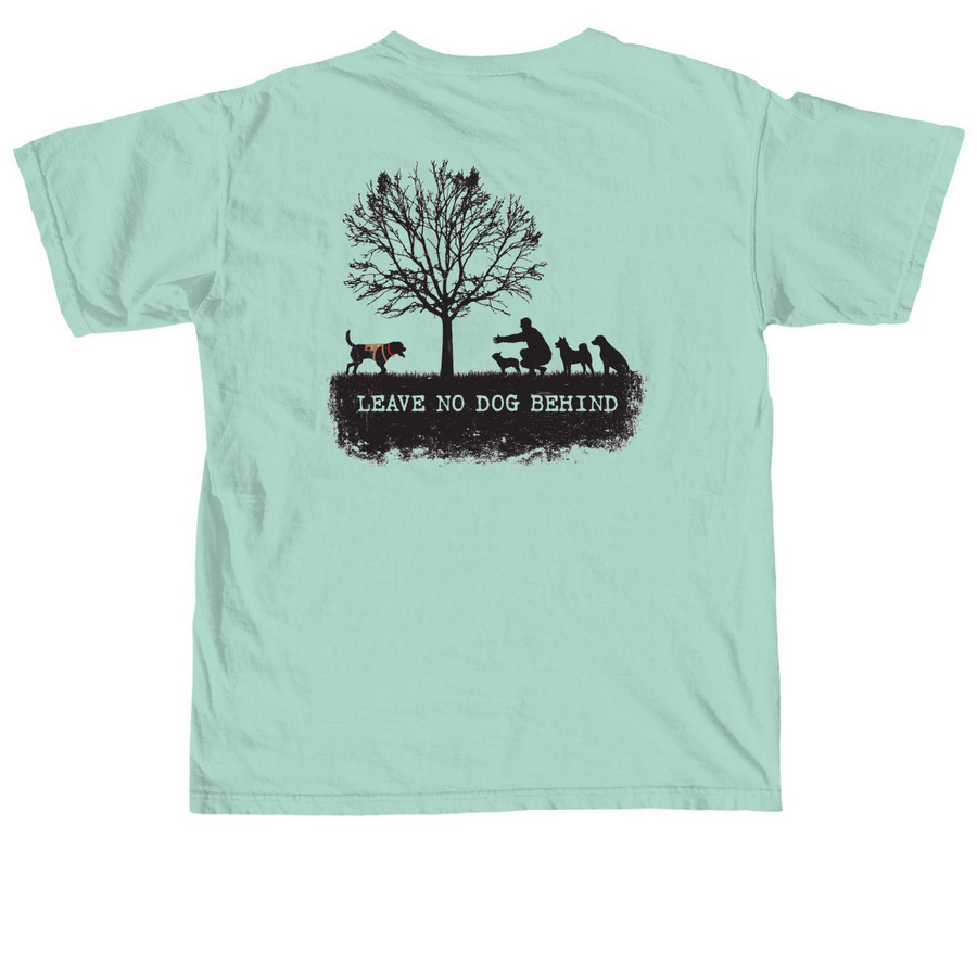 2016 DoD Mascot, Belle T634, a Chalky Mint Comfort Colors Unisex Tee (back-view)