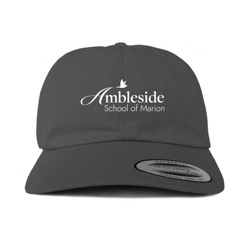 Hats, a Dark Gray Printed Classic Baseball Cap