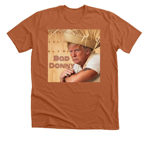 Bad Donny&nbsp;, a Heather Autumn Premium Unisex Tee