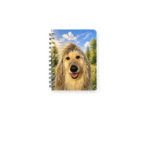 Fancy Notes ??, a White Spiral Notebook